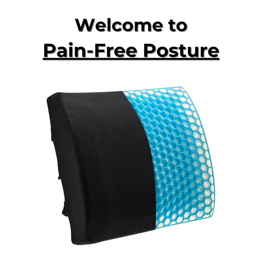 Volosso Lumbar Cushion